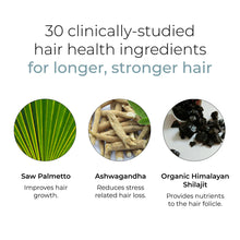 Load image into Gallery viewer, HUSH & HUSH DeeplyRooted®